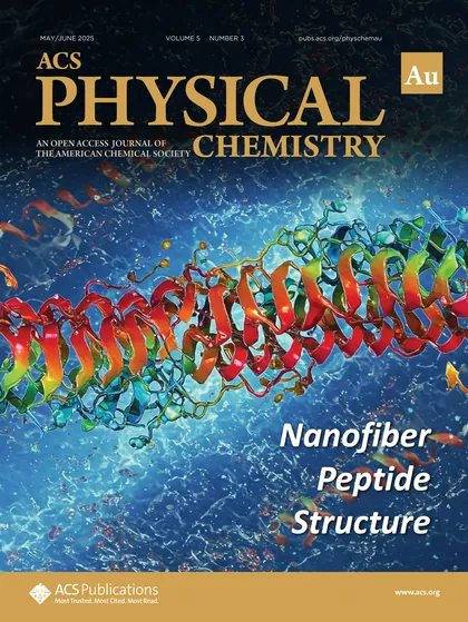 Capa relacionada ao artigo Molecular Dynamics Simulations of Self-Assembled E2(SW)6E2 Peptide Nanofibers: Implications for Drug Delivery and Biomimetic Material Design
